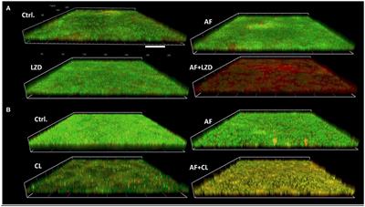 Corrigendum: Synergistic Microbicidal Effect of Auranofin and Antibiotics Against Planktonic and Biofilm-Encased S. aureus and E. faecalis